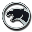 Icon 12